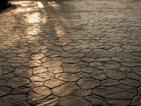 Stamp concrete texture pattern